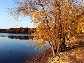 A calm lake with autumn foliage and a stone pathway along the shore. - Maria's JP Rental - Boston Duplex in Popular Jamaica Plain "JP" area (Boston)