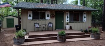 Adair Springs Cabin in Pinetop