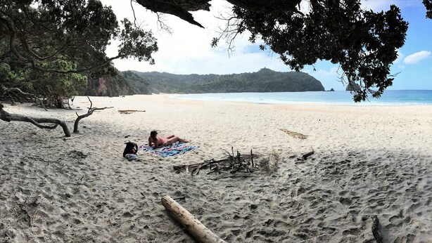 Uma praia com uma pessoa deitada em uma toalha, cercada por árvores e uma vista ampla do oceano.