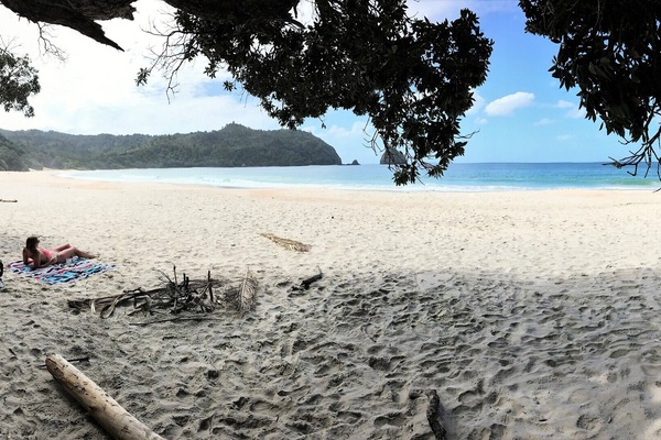 Ubicación cercana a la playa y tumbonas
