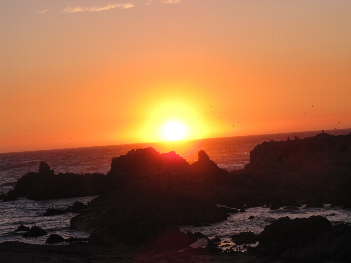 Photo 48 of Mermaid Retreat, PET FRIENDLY, One Week Minimum Stay, Permit #0027