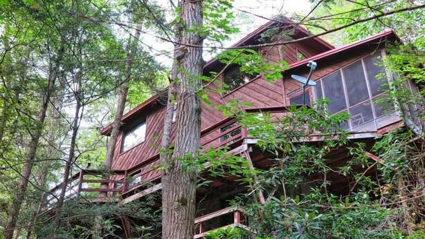 Une cabane dans les arbres à plusieurs niveaux, entourée d’une forêt dense.