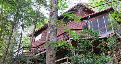 Pigeon River Hideaway on the Little Pigeon River, Smoky Mountains