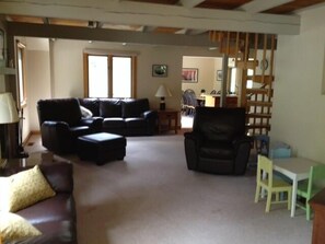 TV, caminetto, lettore DVD, libri