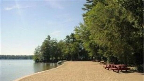 Ein Strand mit Picknicktischen und einem See.