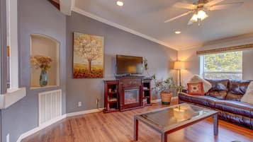 Een televisie, een open haard, een dvd-speler en boeken