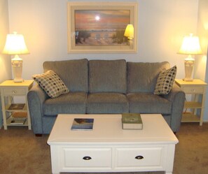 Smart TV, DVD player, video library