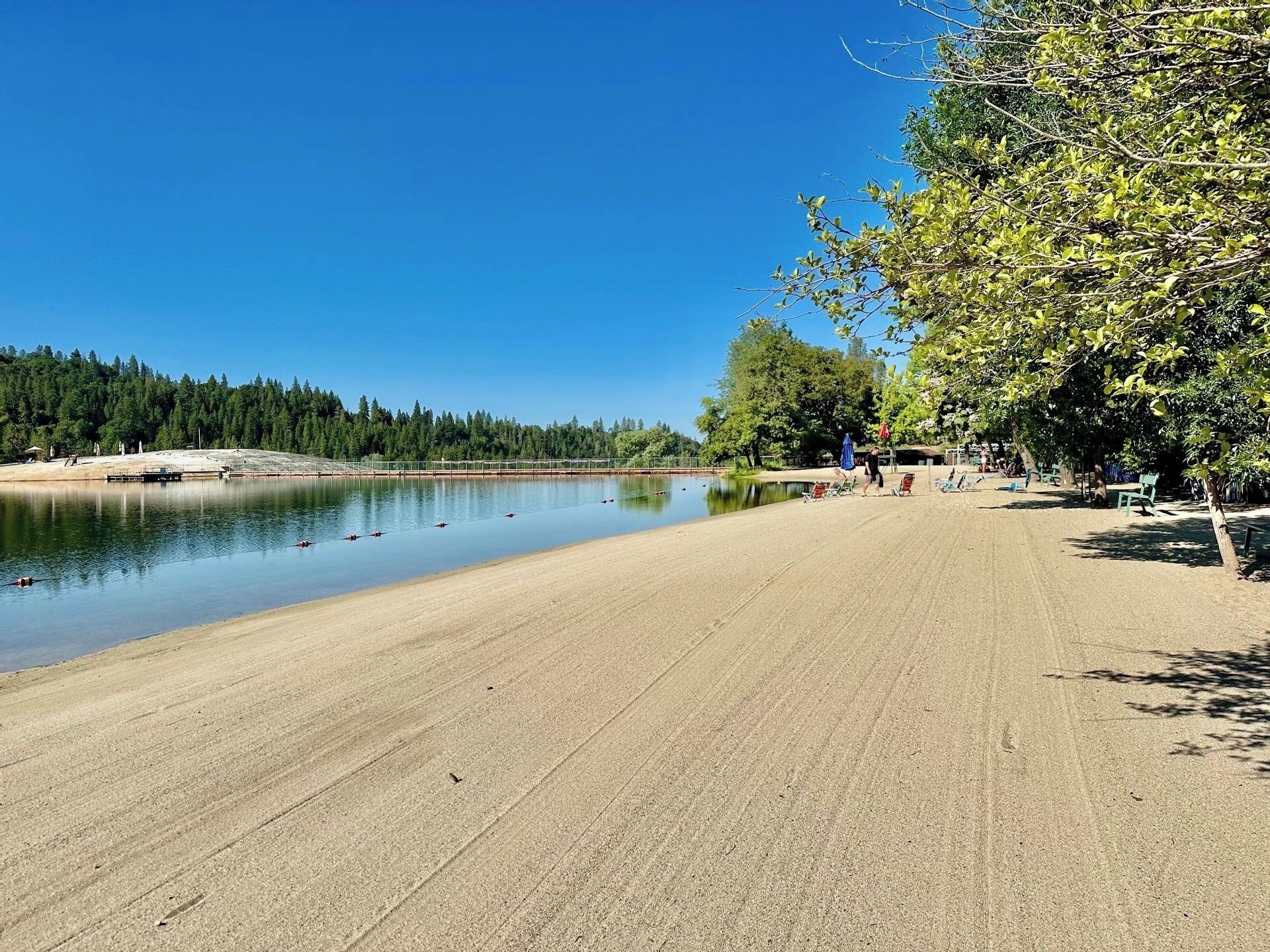 Una playa arenosa con un lago tranquilo, árboles y un cielo azul despejado.