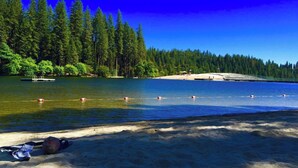 A beach with swimmers, a dock, and a forested area.