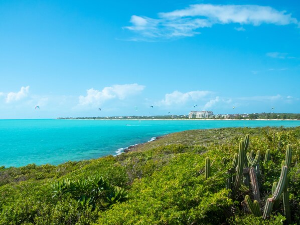 A coastal landscape with a clear sky, turquoise sea, and green vegetation.