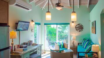Smart TV, DVD player, books, video library