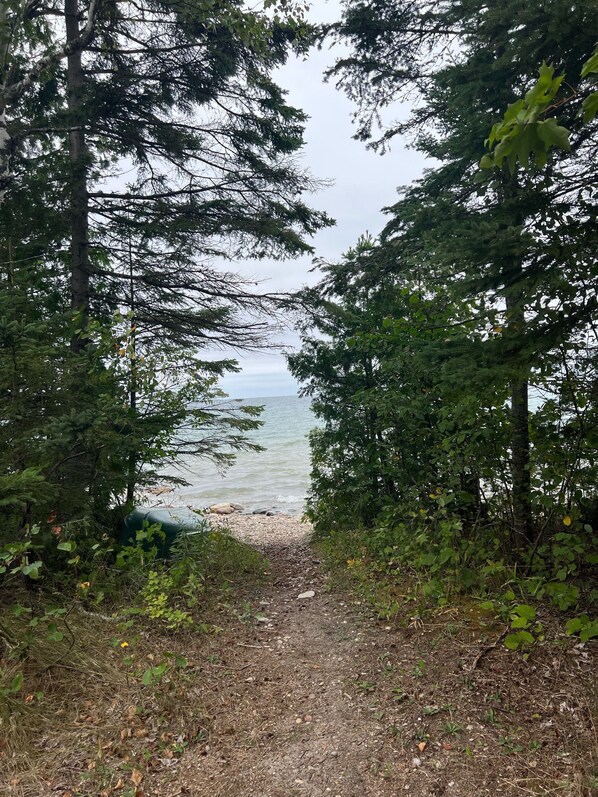 A forested path leading to a beach with a view of the ocean.