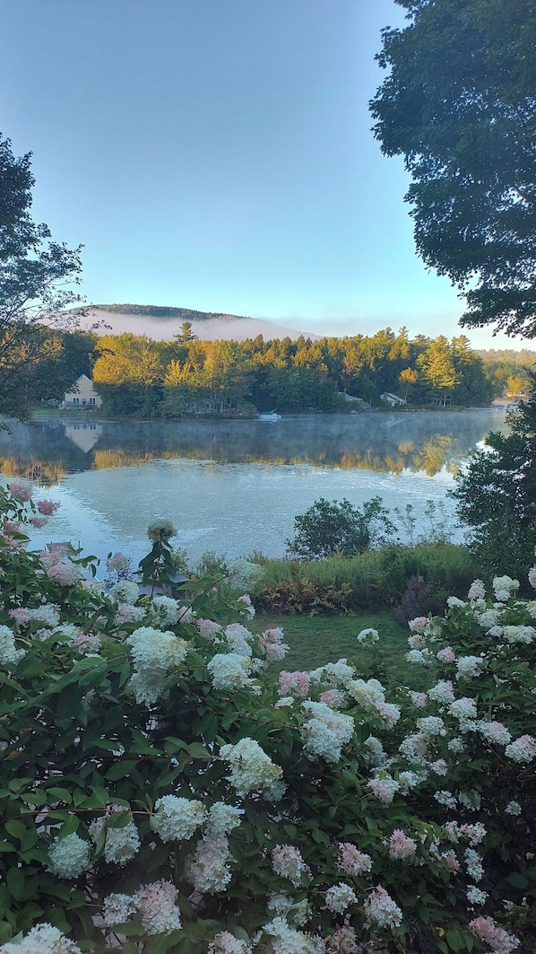 Un lac entouré d’arbres, avec une maison en arrière-plan.
