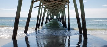 Dolphin Ridge exclusivo 'Island Time' "Septiembre ¡Precios especiales!