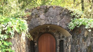 Un arc en pierre menant à une porte en bois, entouré de verdure et de feuilles mortes sur un chemin de béton.