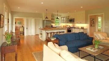 Smart TV, fireplace, DVD player, books