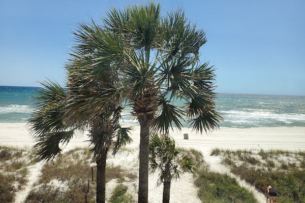 Plage, chaises longues