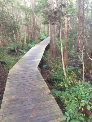 Terrain de l’hébergement 