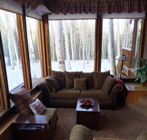Smart TV, fireplace, DVD player, books - Delightful Rustic Home 10 minutes from the Historic Town of Telluride Colorado (Telluride)