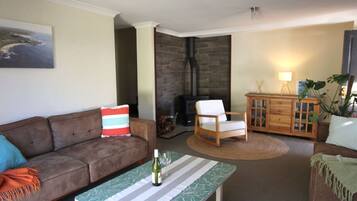 Smart TV, fireplace, books
