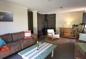 Smart TV, fireplace, books