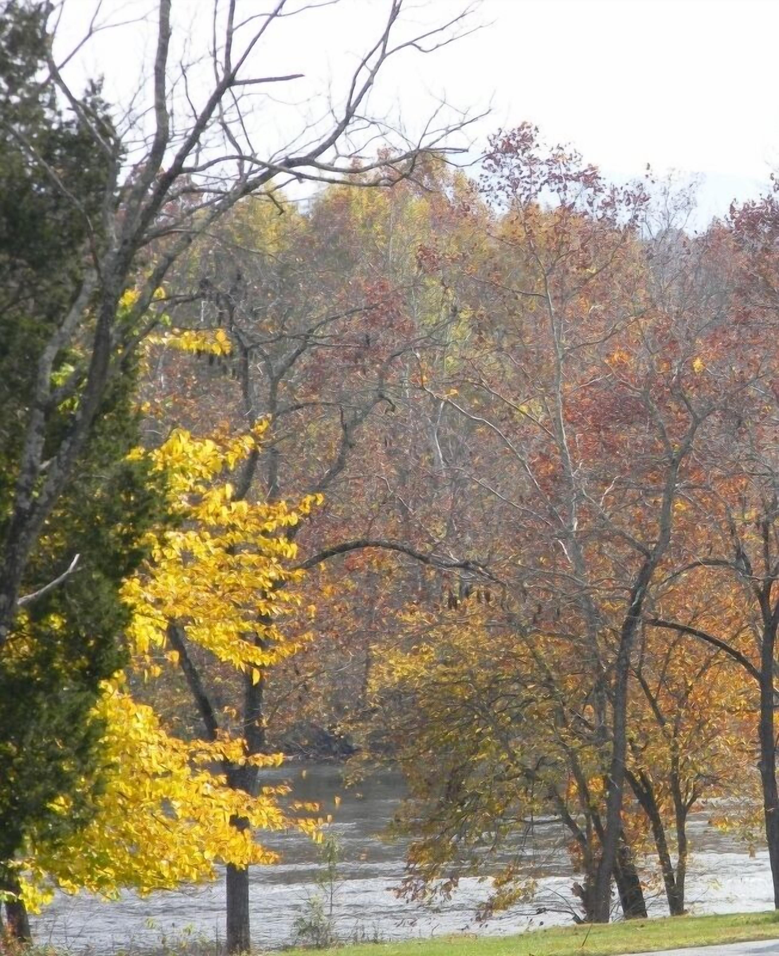 A view of a lake surrounded by trees with autumn foliage.