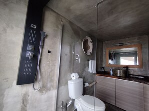 Combined shower/bathtub, jetted bath, hair dryer, towels