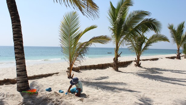 A sandy beach with palm trees and a clear view of the ocean. - Beach Front Apartment. (Diani Beach)