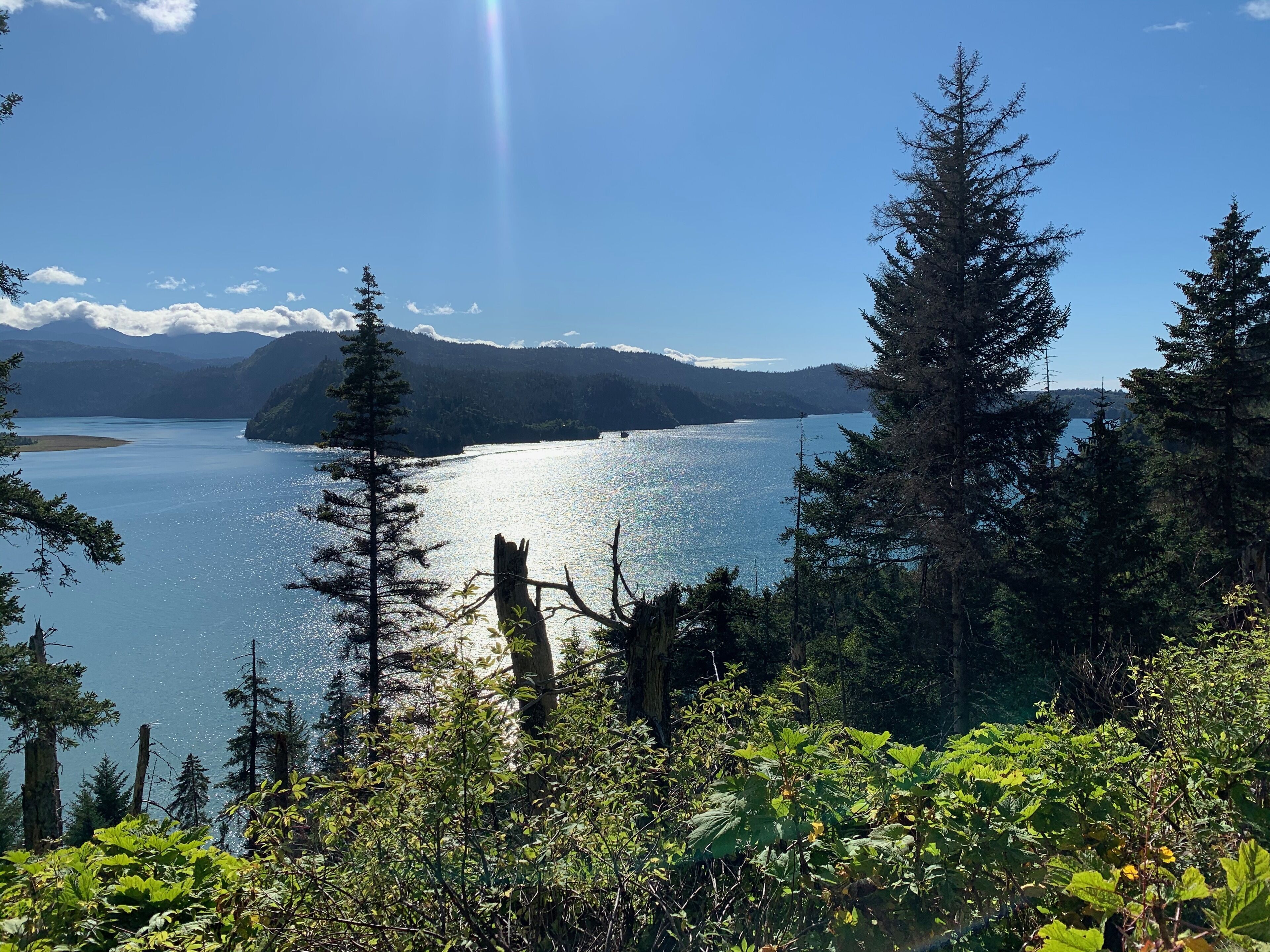 A natural landscape with a lake, forested area, and mountains in the background.