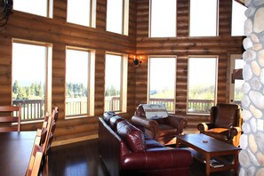 Televisor intel·ligent, llar de foc i llibres 