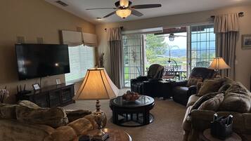 智能电视、壁炉、电子游戏、DVD 播放器