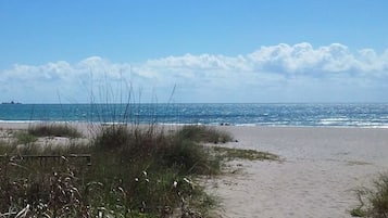 Playa en los alrededores, camastros, sombrillas y toallas de playa