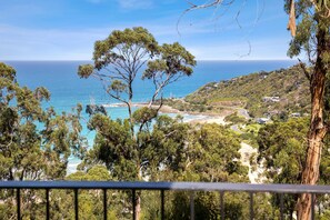 Eine Küstenlandschaft mit Blick auf das Meer, Bäume und eine kurvenreiche Straße.
