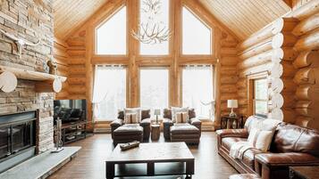 TV connectée, cheminée, jeux vidéo, lecteur de DVD