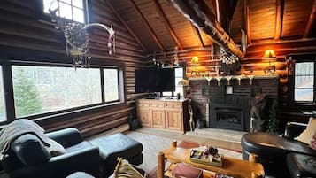 TV connectée, cheminée, lecteur de DVD, livres