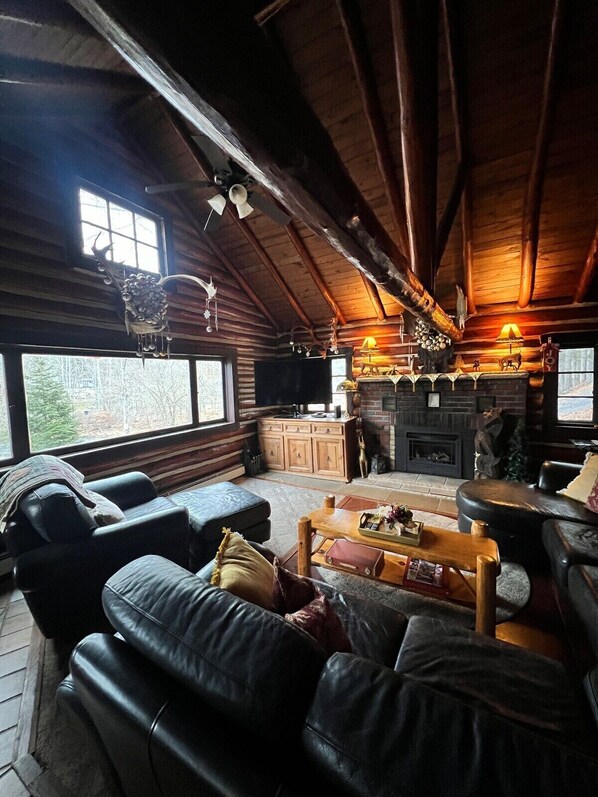 Smart TV, fireplace, DVD player, books