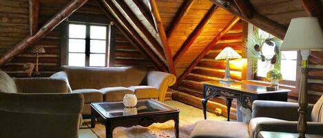 TV, fireplace, DVD player, books