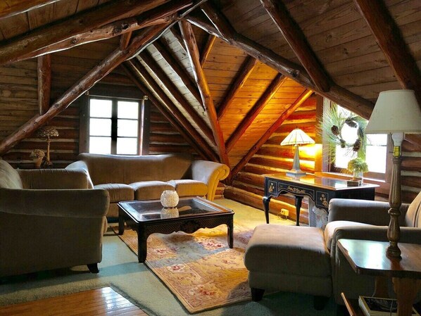 TV, fireplace, DVD player, books