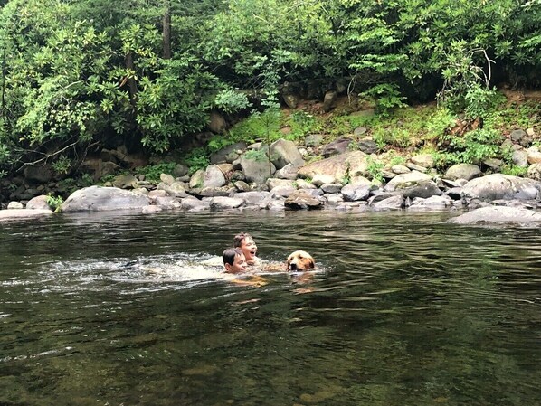 A river with rocks and greenery in the background.