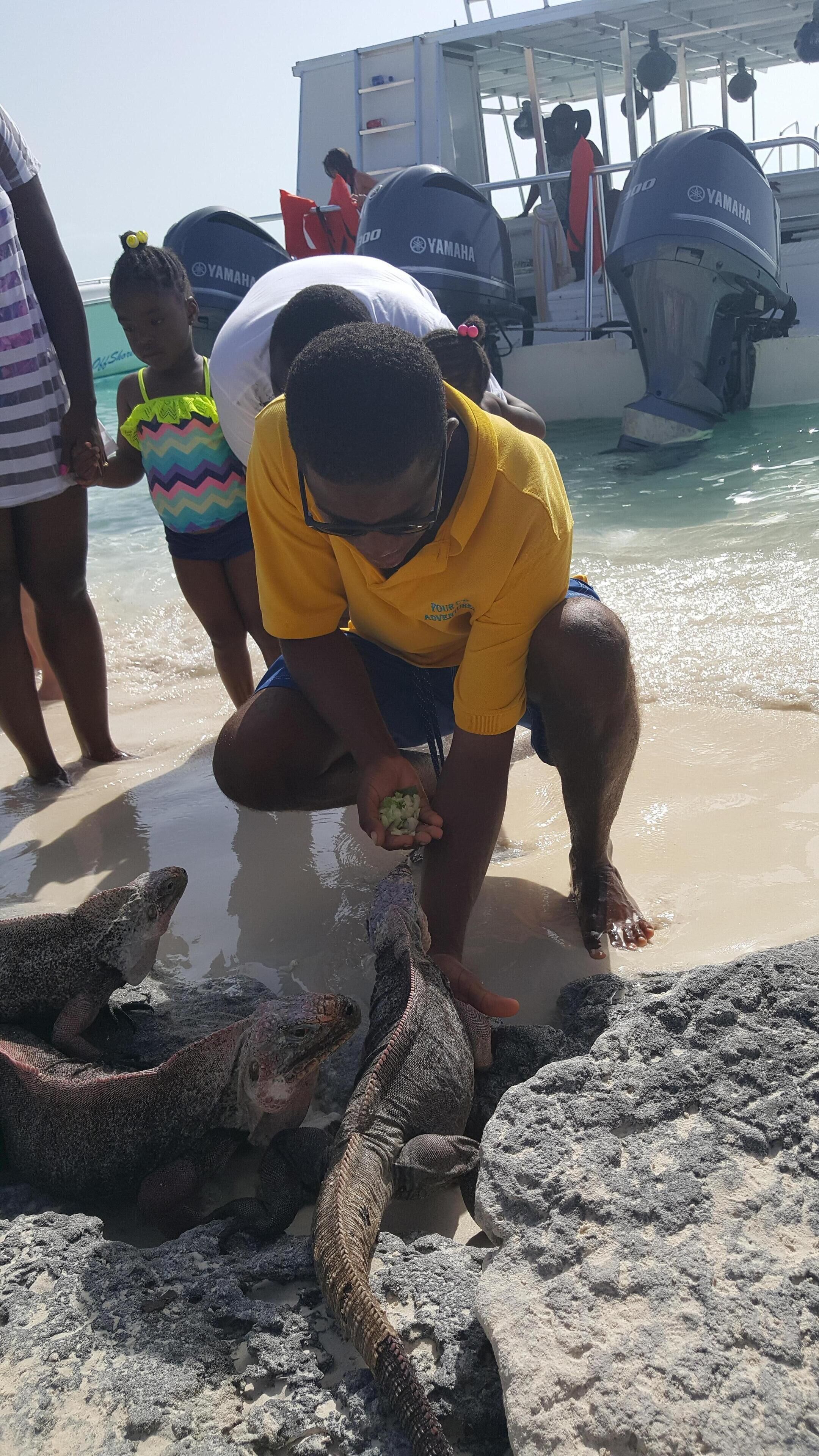 A person interacting with sea creatures on a beach.