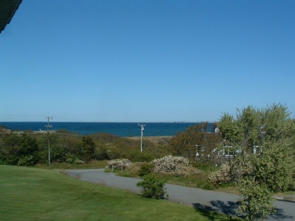 A coastal landscape with a paved path, greenery, and a view of the sea.