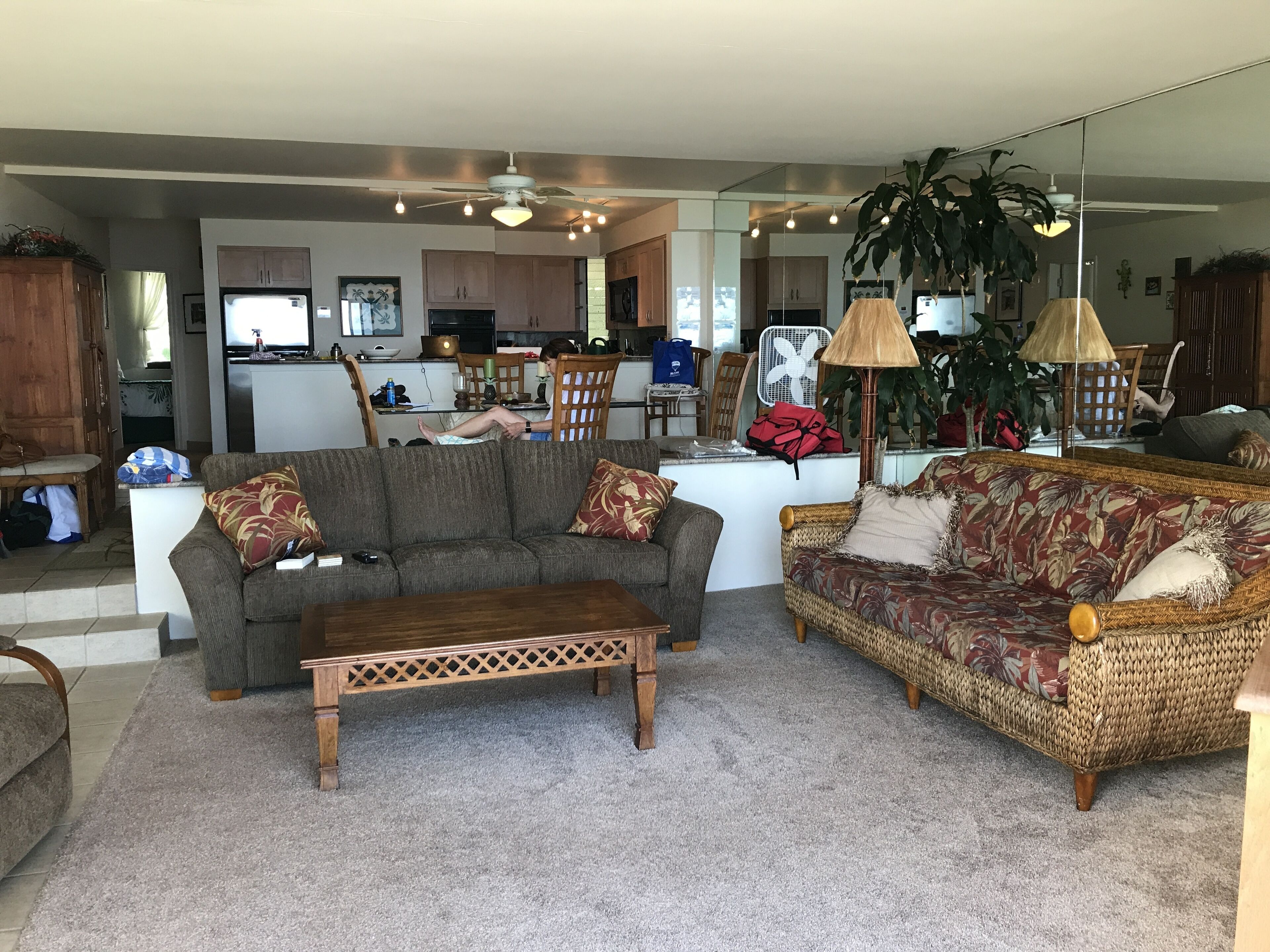 TV, DVD player, books, video library