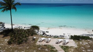 A beach with clear turquoise water, a palm tree, and lounge chairs on a wooden deck. - The nicest beach house in Great Harbour,   Guaranteed!   Enjoy🏝 (Great Harbour Cay, Bahamas (GHC))