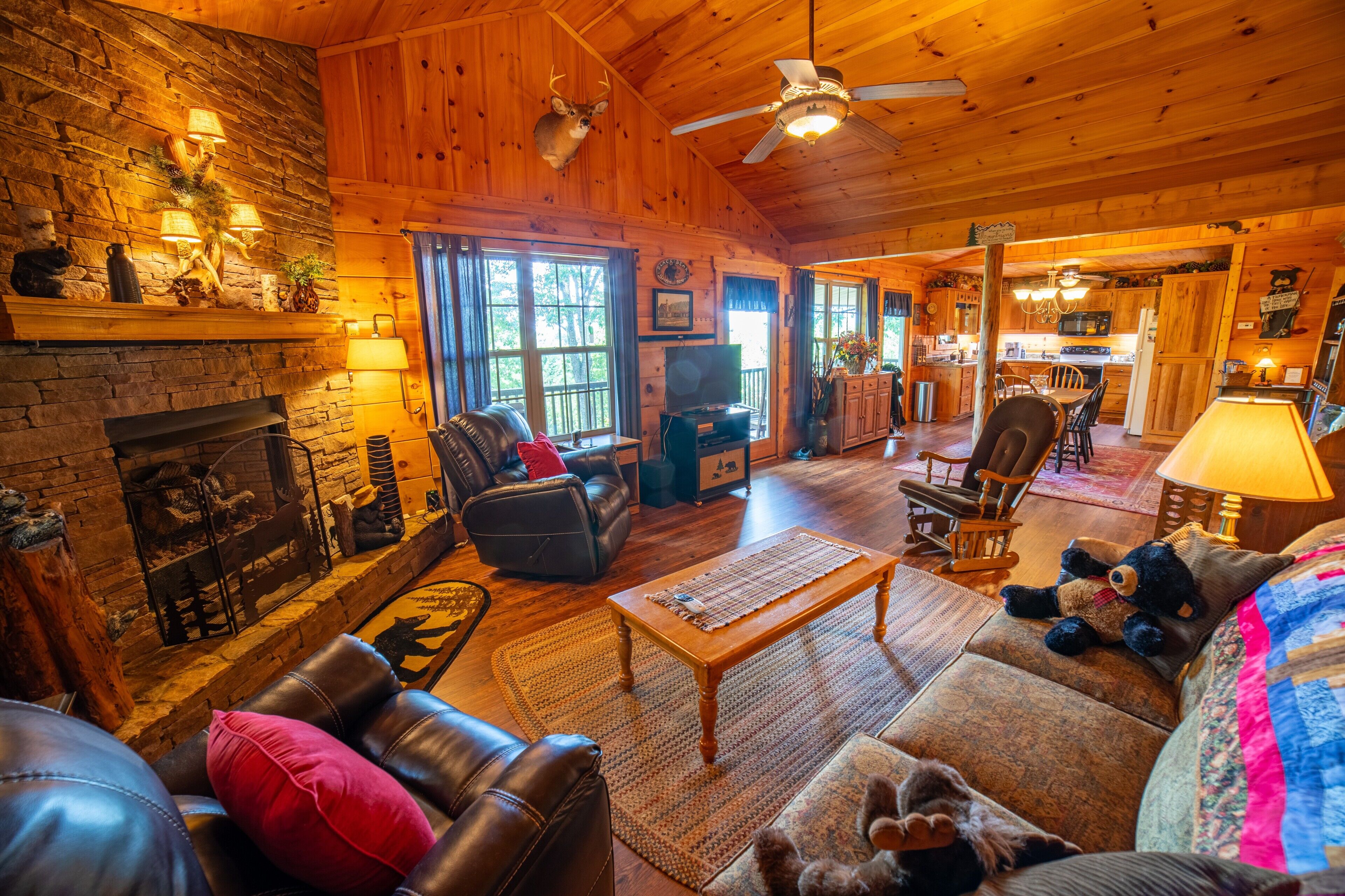 Smart TV, fireplace, DVD player, books