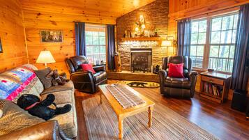 Smart TV, fireplace, DVD player, books