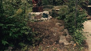 Une statue d’ours dans un jardin où la végétation est luxuriante et où l’on trouve un chemin en béton.