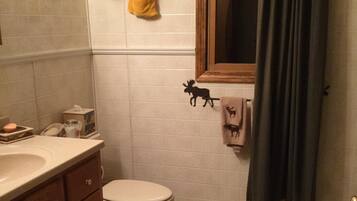 Ensemble douche/baignoire, sèche-cheveux, serviettes fournies
