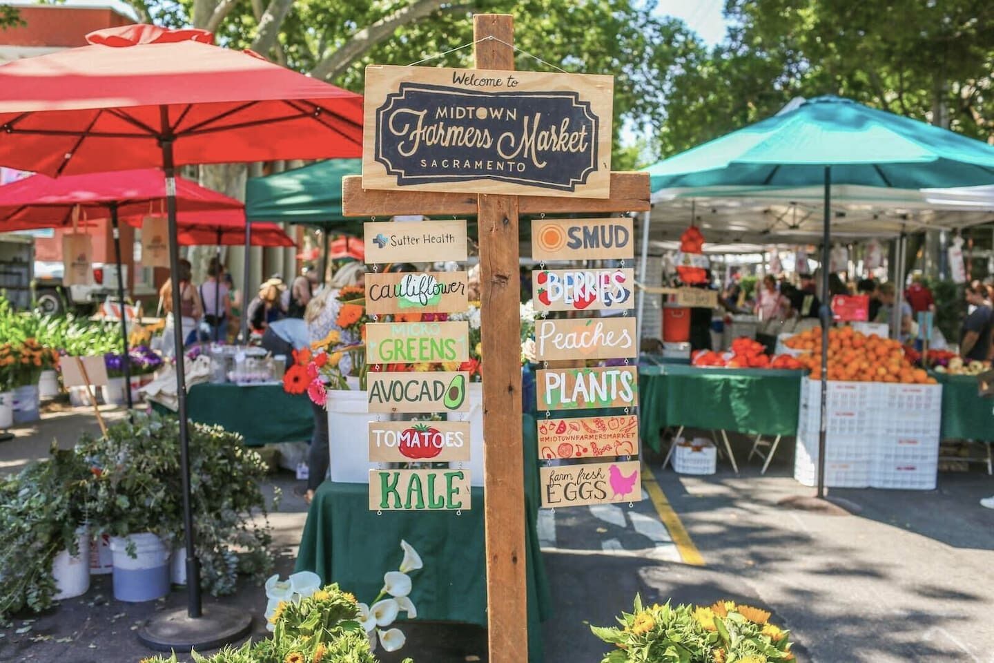 Ein Bauernmarkt mit einem Wegweiser, der verschiedene Produkte wie Blumenkohl, Blattgemüse, Avocado, Tomaten, Grünkohl, Beeren, Pfirsiche, Pflanzen und Eier auflistet.