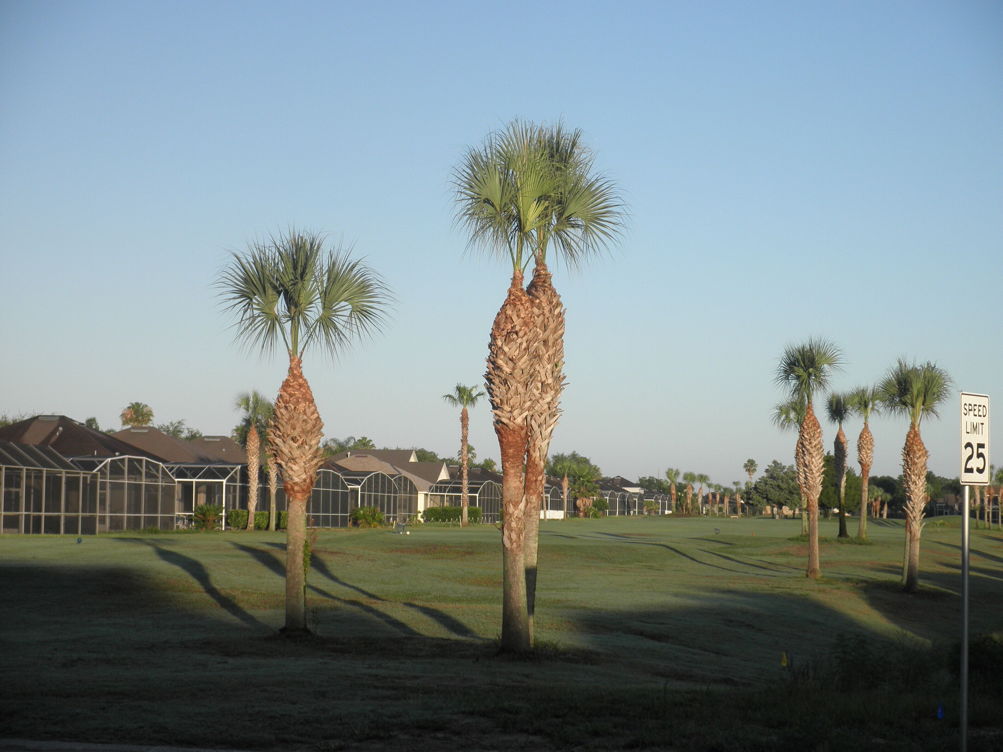 Relaxing Vacation Home w/ Lake,Golf,Pool,Tennis,Internet,Cable,Sunsets