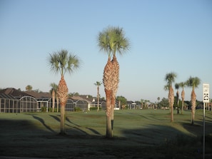 A golf course with palm trees and a speed limit sign of 25 mph. - Relaxing Vacation Home w/ Lake,Golf,Pool,Tennis,Internet,Cable,Sunsets (Davenport)